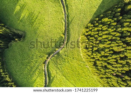 Aerial picture of a green field