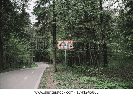 Road sign and Asphalt road in forest. 