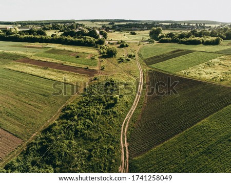 Many fields and the road, photo from above. Aerial photography, agriculture, summer, greenery, grass, wheat field.