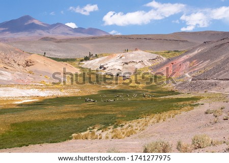 La Botijuela. Natural landscape of the Puna highland. Catamarca  province, Argentina