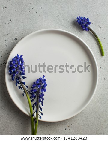 Empty white plate to insert your products or text with purple flowers. Art concept, minimalism, beauty. Copy space.