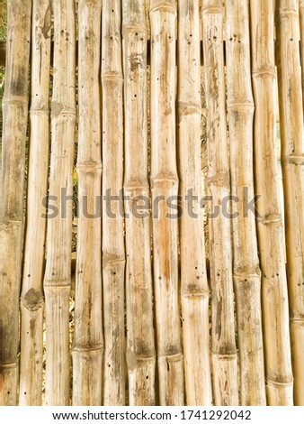 Bamboo dry sheet curtain tied with light wood tone background. Texture