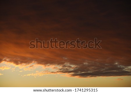 Sky background.Bloody Cumulus clouds illuminated by sunlight on the border of a clear light sky.Stormy landscape at dawn.Russia