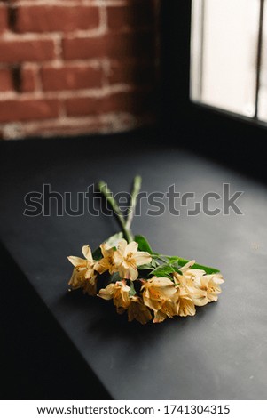 Yellow flowers. Studio photography of flowers. Bouquet of flowers is on the table. 