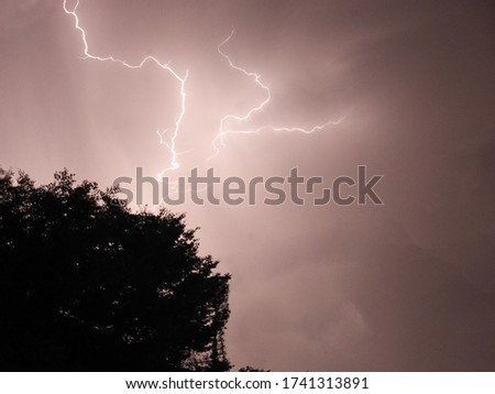 Night lightning on a tree top