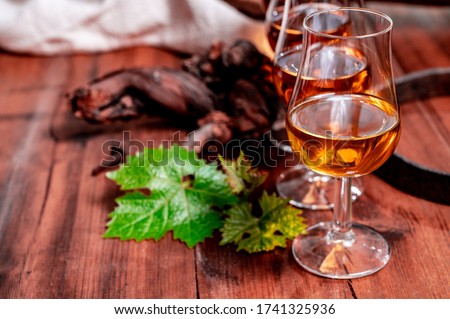 Tasting glasses with aged french cognac brandy in old cellars of cognac-producing regions Champagne or Bois, France