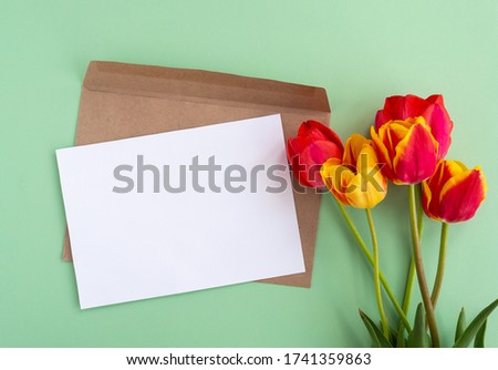 Red and yellow tulips flowers flat lay and empty mock up letter with envelope on pastel paper green background. Creative minimal spring or summer festive concept, top view, copy space