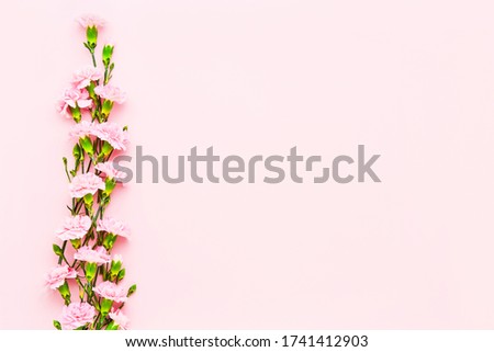 Bouquet of pink carnation flowers on pink background. Mothers day, Valentines Day and Birthday celebration concept. Copy space for text, top view