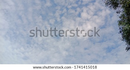 Pictures of beautiful nature, white clouds trees after rain And blue sky