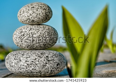 Balance pebbles on a wooden deck with green foliage and sky background at sunset rays. Spa and relax concept.
