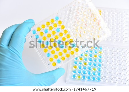 Enzyme-linked immunosorbent assay or ELISA plate, Immunology testing method in medical laboratory Royalty-Free Stock Photo #1741467719