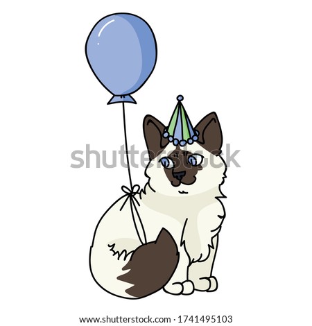 Cute cartoon ragdoll kitten with party hat vector clipart. Pedigree kitty breed for cat lovers. Celebration cat for pet parlor illustration mascot. Isolated feline housecat. EPS 10.