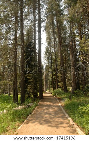 Path and Trees