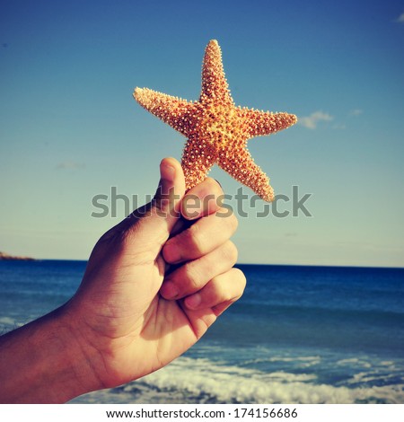 picture of someone holding a starfish with the ocean in the background, with a retro effect