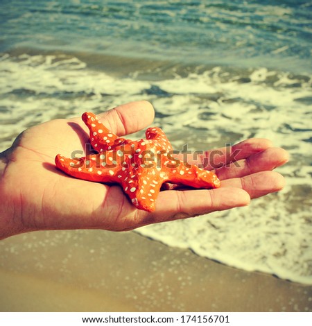 picture of someone holding a papier-mache starfish with the ocean in the background, with a retro effect