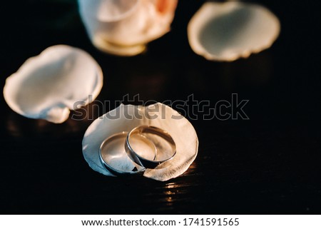 Close-up of two gold wedding rings in shells on a black background.Wedding ring.Wedding ring.Wedding
