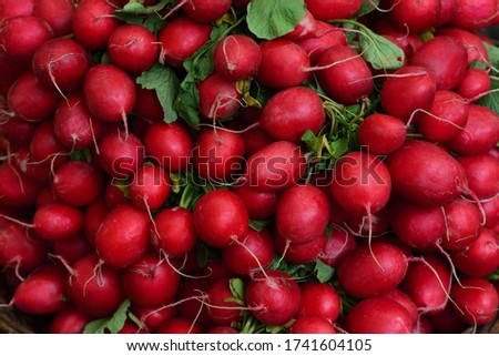 
Red fresh little radishes are close together for sale in Bavaria