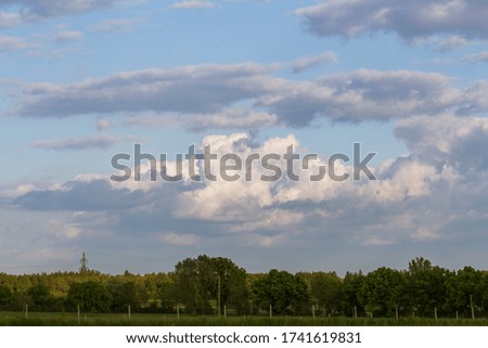 Cumulonimbus Clouds in the sky above trees