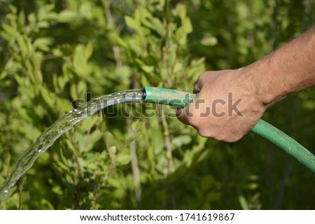 a male hand waters the garden with a green rubber hose Royalty-Free Stock Photo #1741619867