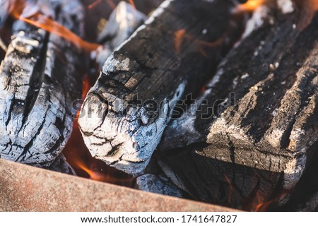 Firewood flames before cooking barbecue