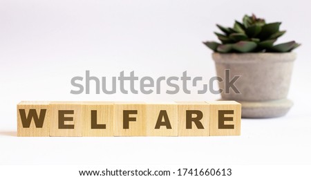 The word WELFARE made up of wooden cubes on a light background