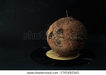 whole coconut on a black background                             