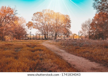 An evening scene in the farm of texas with trees having sun light and a way going toward the trees. Royalty-Free Stock Photo #1741834043