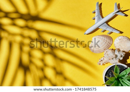 Airplane on a yellow background with a shadow of palm trees and shells as a vacation concept.