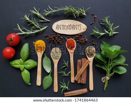 Set of various spices in wooden spoons and fresh herbs rich in antioxidants. Natural sources of antioxidants rosemary twigs, fresh green basil leaf, mint leaf, turmeric, clove, cinnamon, chili, tomato Royalty-Free Stock Photo #1741864463