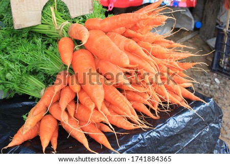Many orange carrots are on sale at the market.