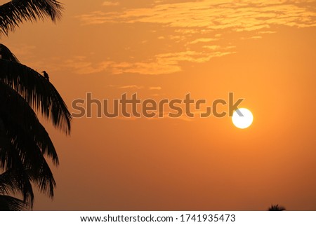 it is a beautiful picture of sun and nature.