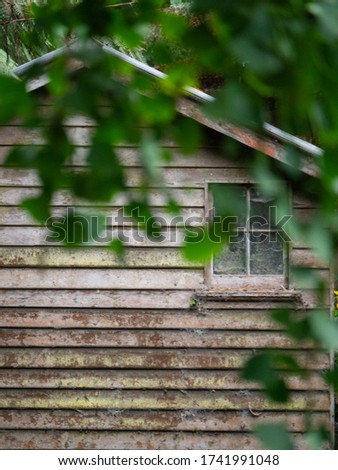hut on lake in forest in alfred nicholas gardens, dandenong ranges melbourne