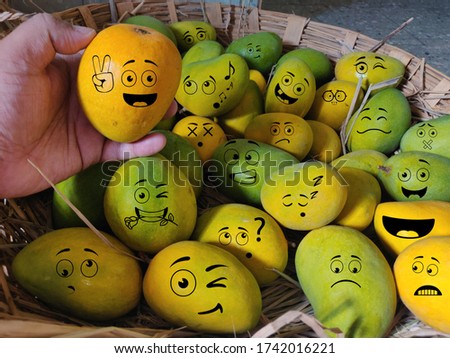 A nest of multiple happy and crazy faces of mangoes the king of fruits and also the king of mangoes Alphonso Mangoes