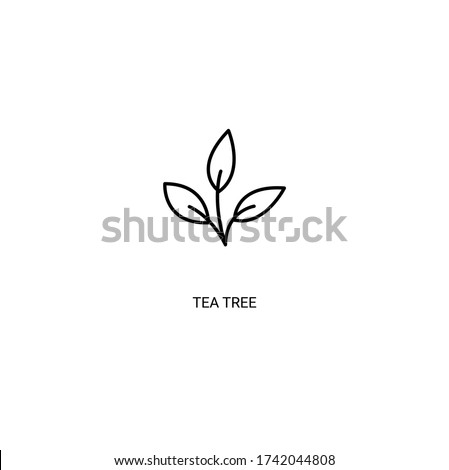 Tea tree simple thin line icon vector illustration Royalty-Free Stock Photo #1742044808