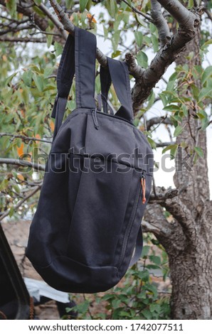 Sports backpack on a tree. Stock photo for a hike or trip.