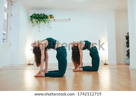 Yoga girls practicing the Ustrasana pose in gym background