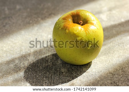 One ripe illuminating yellow apple on ultimate gray concrete background with light and shadow. Concept of spring, gardening, harvest, healthy food. Copy space. Color of the year 2021.