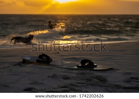 Kitesurfing board placing on the beach with defocused beautiful silhouette picture dog running barking at professional kite surfer surfing riding on the wave ocean sunsetting at the background  