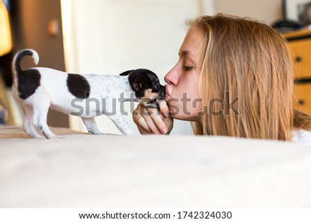 a teenage girl kisses a cute toy Terrier puppy and it bites her finger