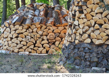 Preparation of firewood for the winter. Firewood background, stacks of firewood in the forest. Pile of firewood.