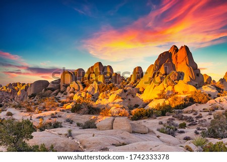 Rocks in Joshua Tree National Park illuminated by sunset, Mojave Desert, California Royalty-Free Stock Photo #1742333378