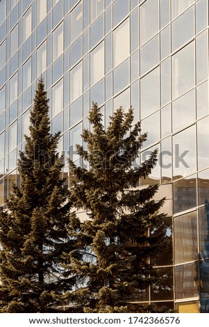 Modern business building with tree at front. Glass facade, reflections and some trees. Empty space for your creativity. Low viewing angle of modern business building with glass Windows