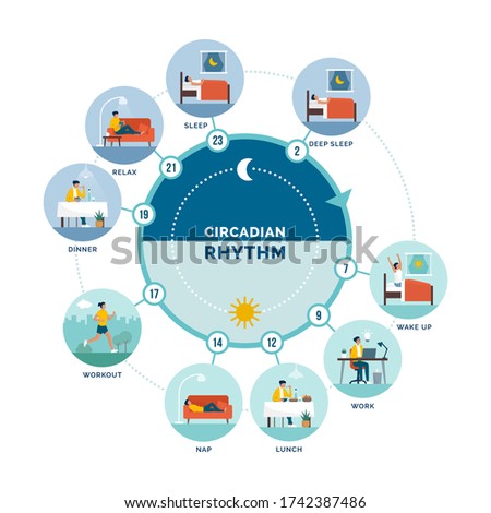 Circadian rhythm and daily activities: daily routine of a woman and sleep-wake cycle, healthy lifestyle concept Royalty-Free Stock Photo #1742387486