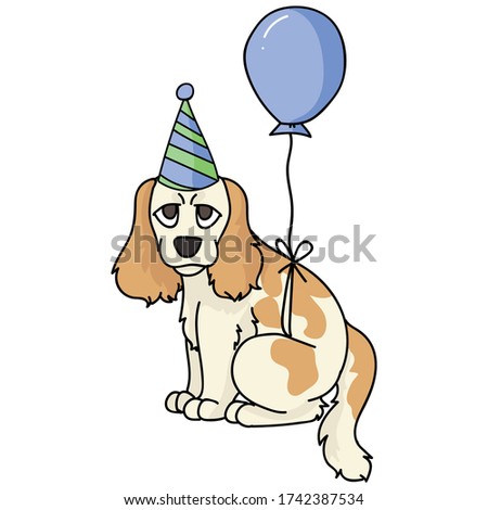 Cute cartoon cocker spaniel puppy with party hat vector clipart. Pedigree kennel dog lovers. Purebred domestic dog for balloon illustration mascot. Isolated canine English hunting breed. EPS 10. 