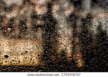 Rain Drops On Window Glass Forest view