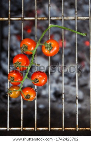 Branch with cherry tomatoes cook on the grill on an open fire, top view