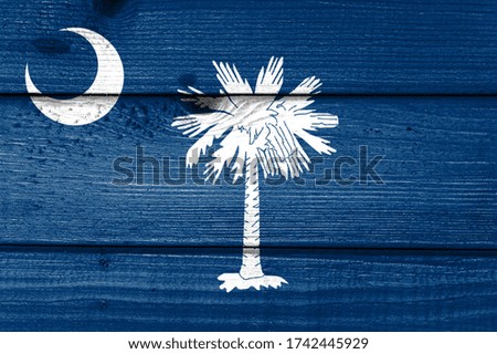 south carolina flag painted on old wood plank background. Brushed natural light knotted wooden board texture. Wooden texture background flag of south carolina