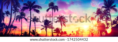 Silhouette Tropical Palm Trees At Sunset - Summer Vacation With Vintage Tone And Bokeh Lights
 Royalty-Free Stock Photo #1742504432