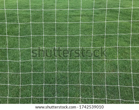 Net for football and green grass background.