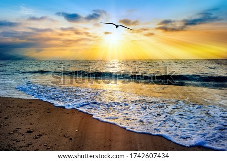 A Single Bird Flies into the Sun Rays of a Colorful Ocean Sunset Sky Royalty-Free Stock Photo #1742607434